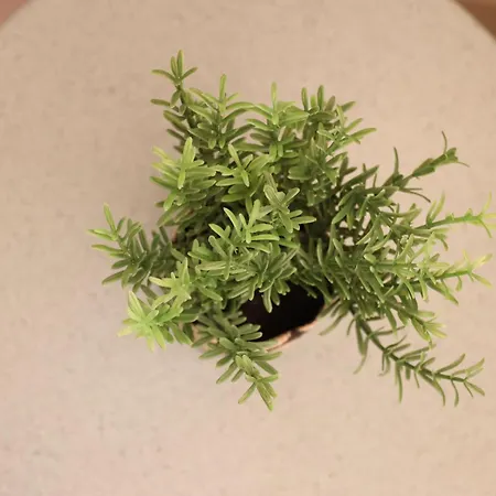 Siroa Tranquil דירה