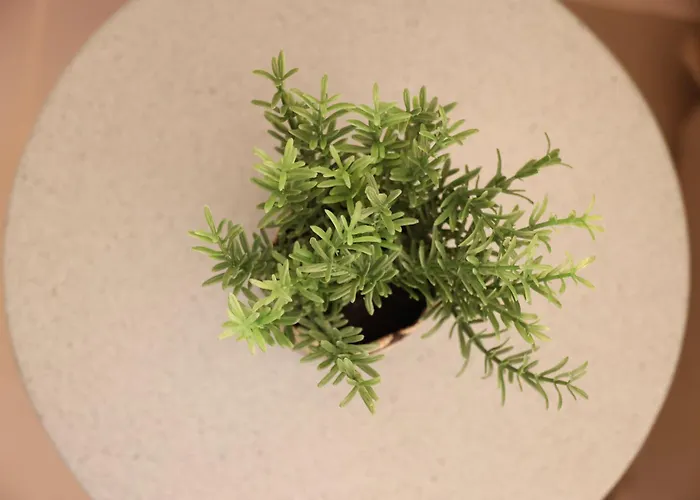 Siroa Tranquil Apartment